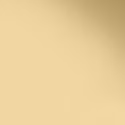 Краска Paint and Paper Library цвет Beeswax 470