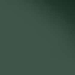 Краска Paint and Paper Library цвет Hunter Dunn 523