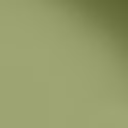 Краска Paint and Paper Library цвет Chelsea Green II 549