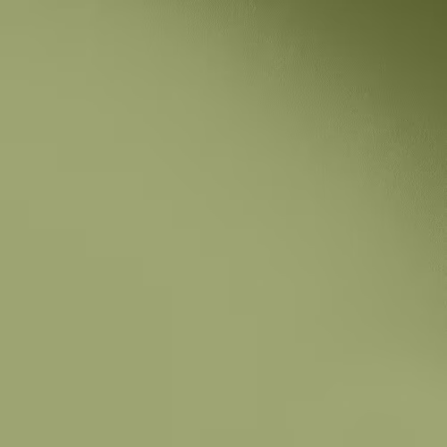 Краска Paint and Paper Library цвет Chelsea Green II 549 Pure Flat Emulsion 0,125 л