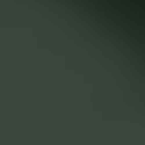 Краска Paint and Paper Library цвет Stable Green 554 Pure Flat Emulsion 0,125 л