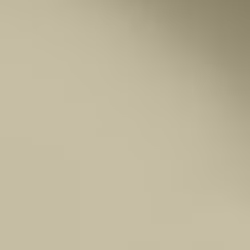 Краска Paint and Paper Library цвет Wattle V 565