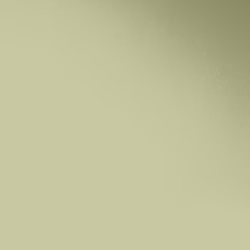 Краска Paint and Paper Library цвет Artichoke 568 Pure Flat Emulsion 0,125 л