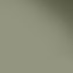 Краска Paint and Paper Library цвет Greenback 579