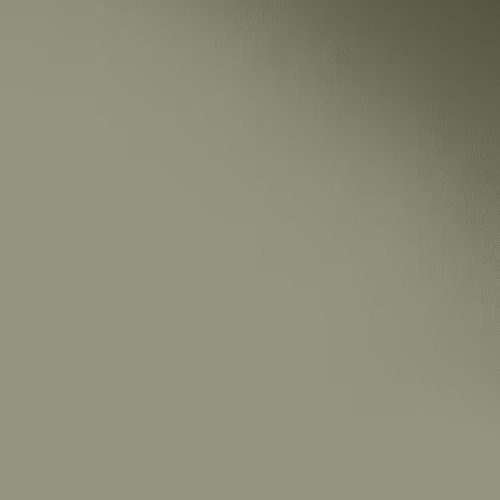 Краска Paint and Paper Library цвет Greenback 579 Pure Flat Emulsion 0,125 л