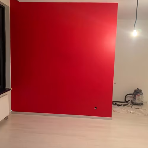 Краска Little Greene цвет Cape Red 279 Absolute Matt 0,06 л