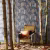Обои Harlequin Standing Ovation Epitome Copper/Gold/Sepia 111499 фото в интерьере