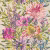 Обои Harlequin Standing Ovation Floreale Tangerine/Fuchsia 111497