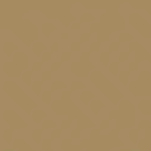 Обои Loymina Golden Library Plain SAT3 005/1 10,05×1