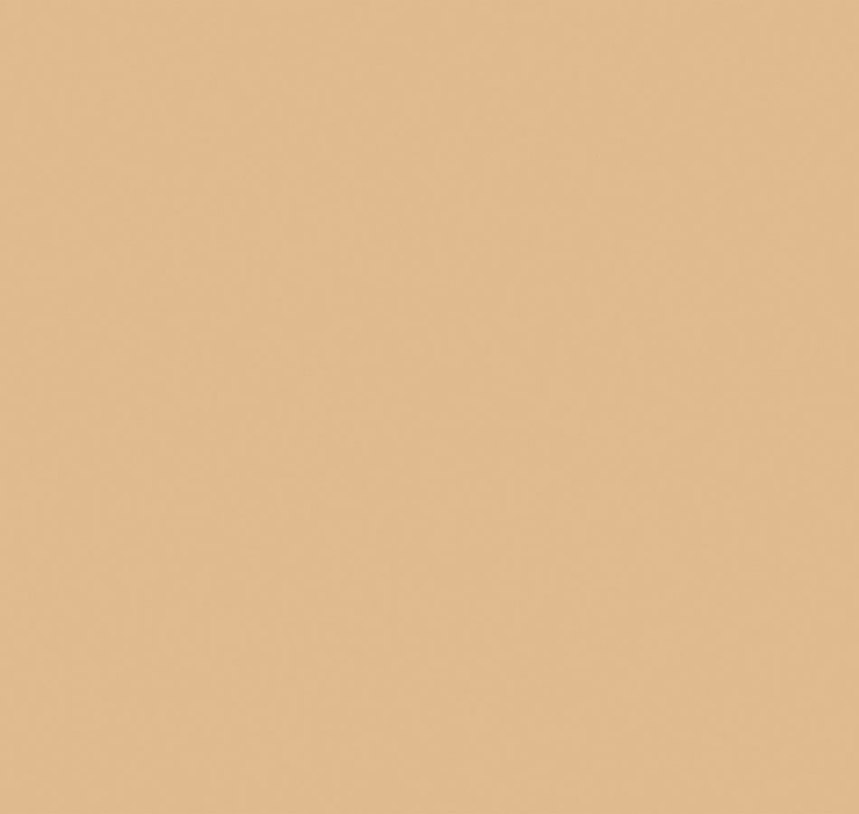 Обои Loymina Golden Library Plain SAT3 0501 10,05×1