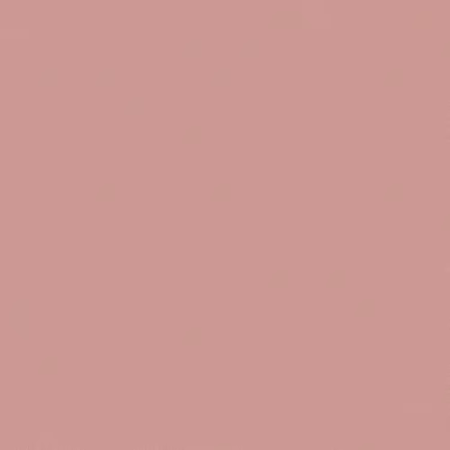Обои Loymina Golden Library Plain SAT4 007/1 10,05×1