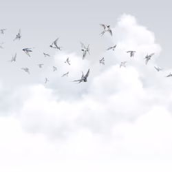 Панно Milassa Ambient vol.3 Spring Swallows Am11 006
