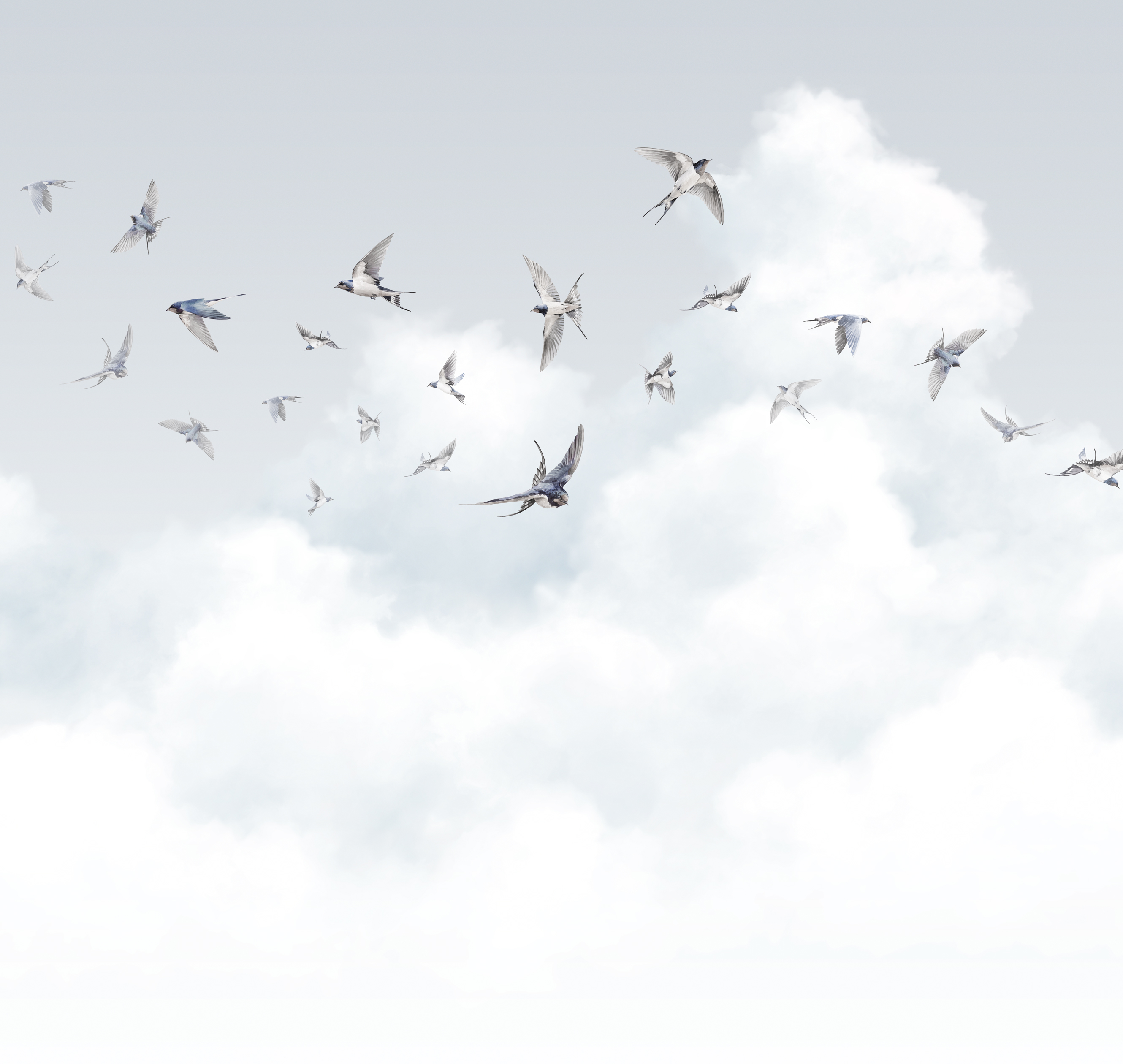 Панно Milassa Ambient vol.3 Spring Swallows Am11 006