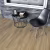 Кварцвиниловый SPC ламинат Alpine Floor Intense Бурый лес ECO 9-3 1220×183×6 фото в интерьере