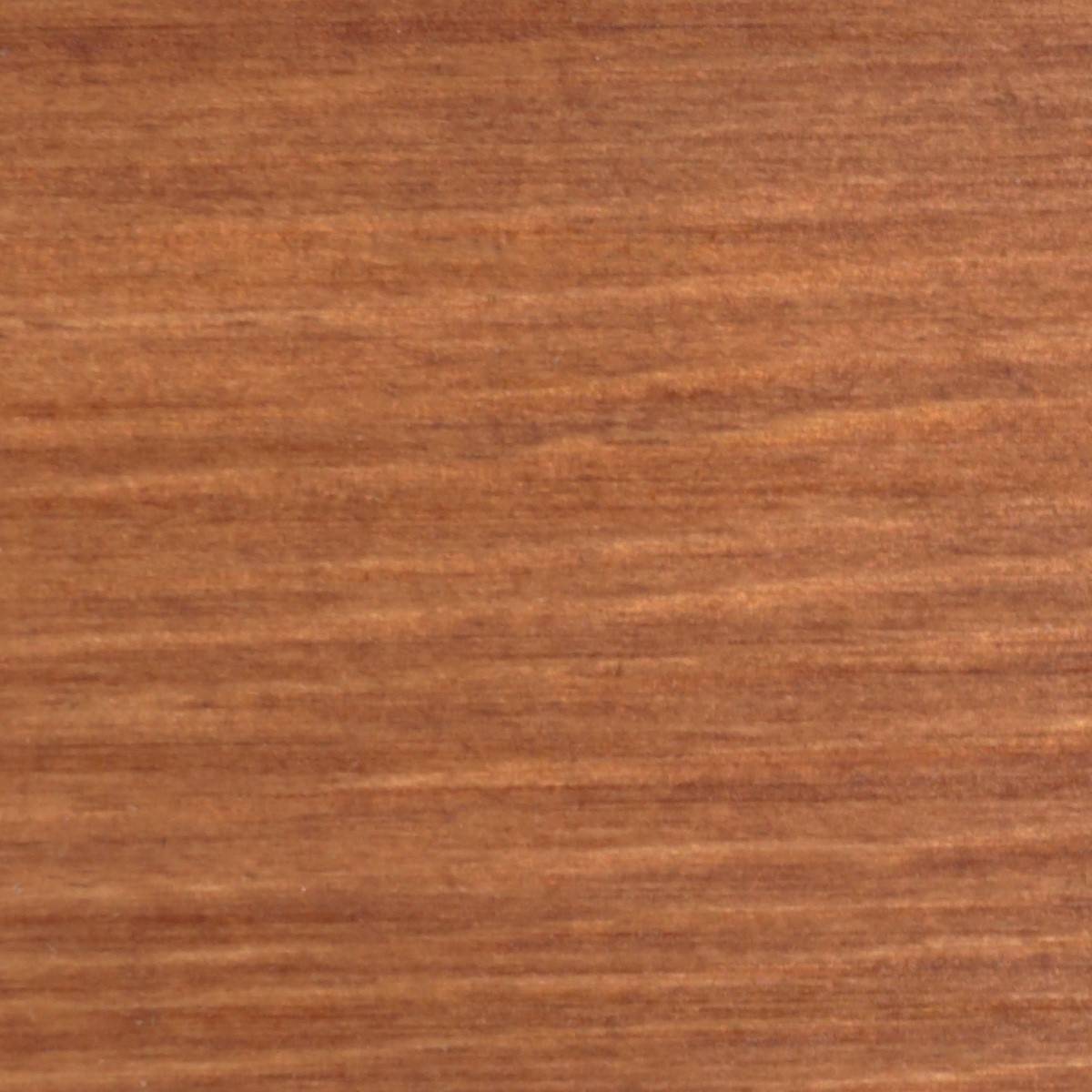 Масло тиковое для дерева Borma Teak Oil 0360-12045.125 Дуглас 0,125 л