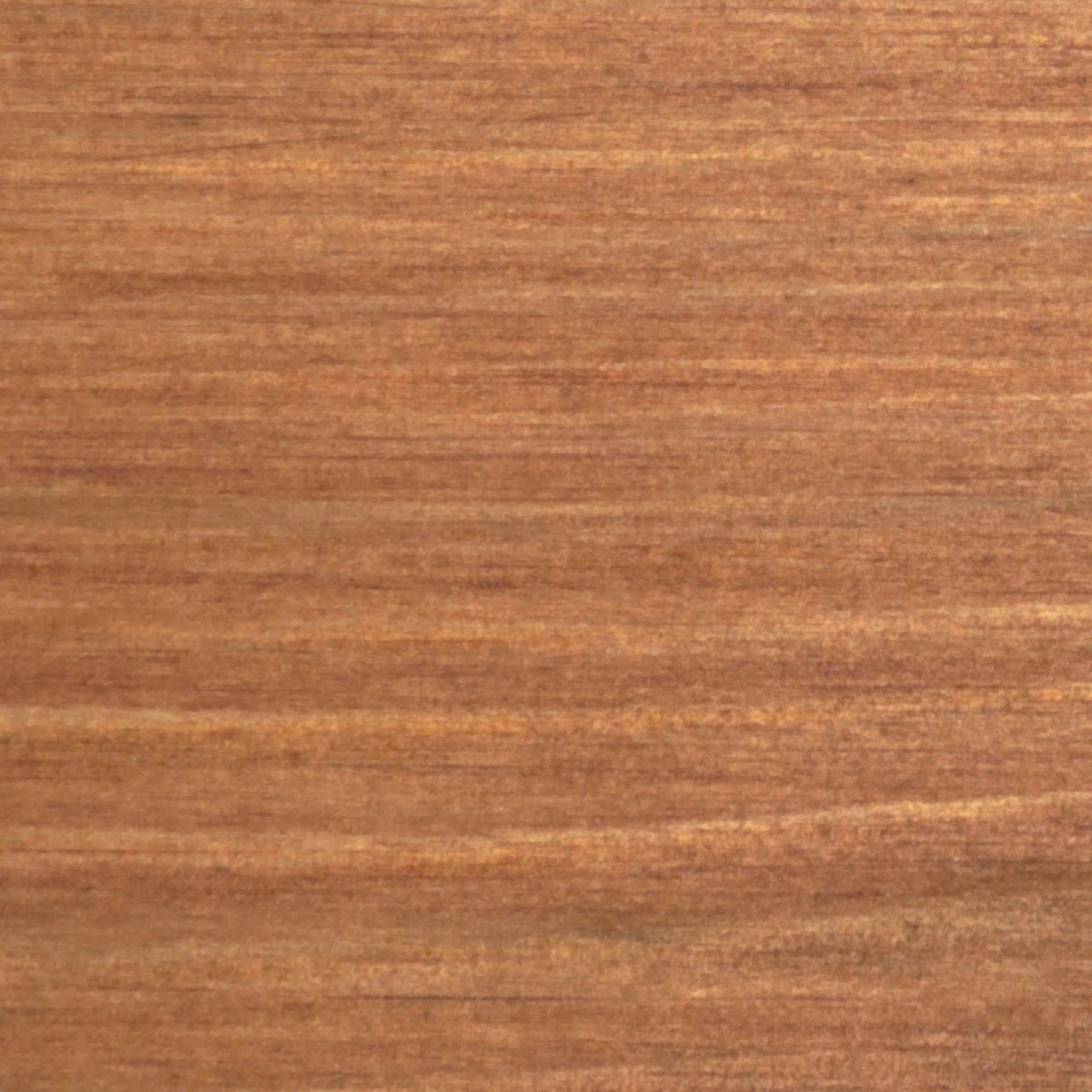 Масло тиковое для дерева Borma Teak Oil 0360-12047.125 Груша 0,125 л