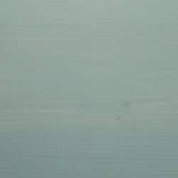 Лазурь для дерева Biofa 1075 цвет 1018 Шалфей 0,125 л