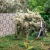 Обои Loymina British Style Forest Scottish Flower BRIT 6 012 10,05×1 фото в интерьере