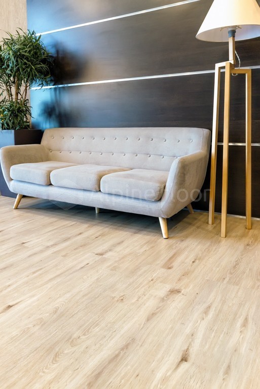 Кварцвиниловая плитка Alpine Floor клеевая Easy Line Дуб Ваниль ECO 3-4 1219,2×184,15×3 фото в интерьере