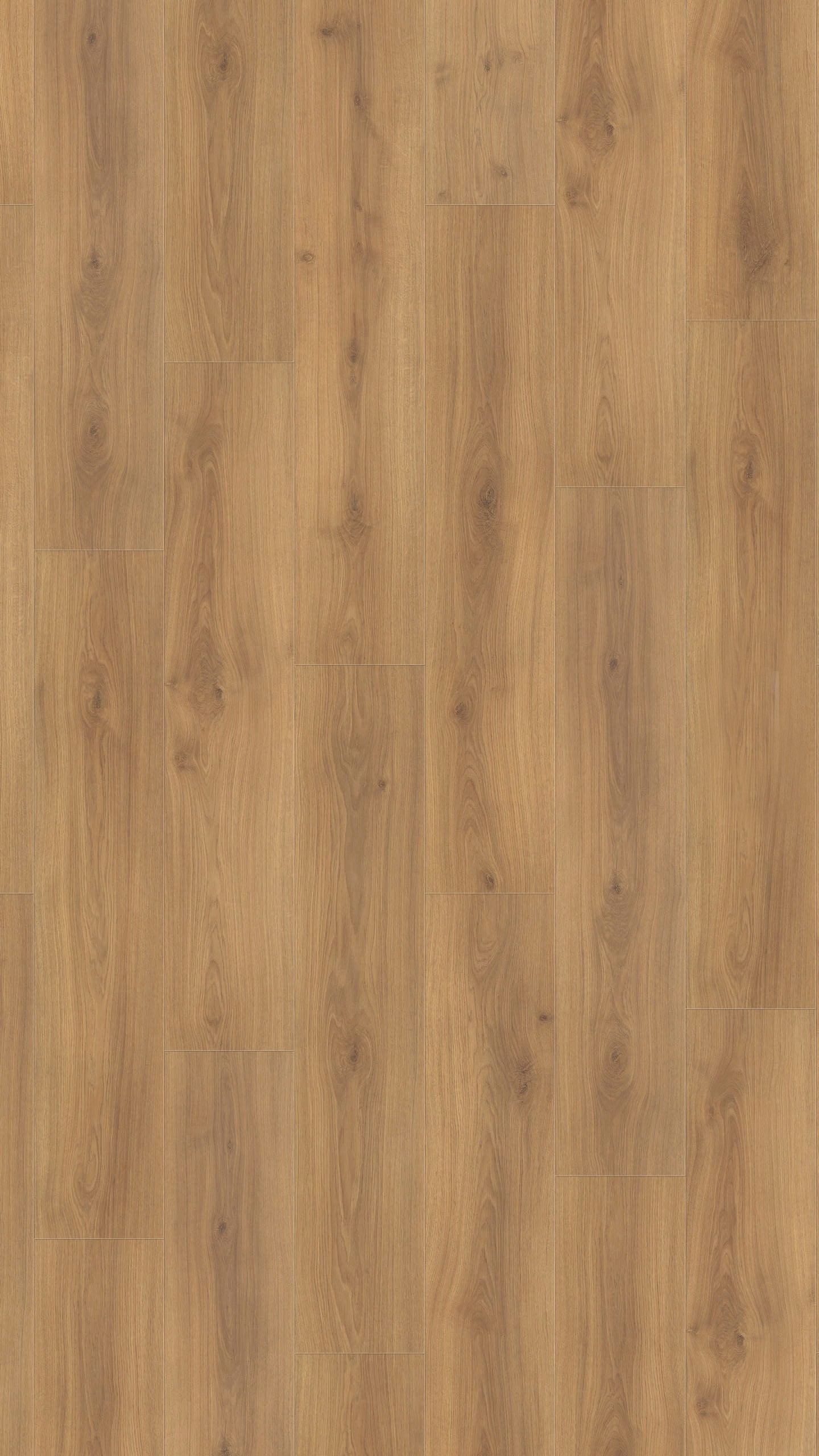 Ламинат Haro Tritty 100 Campus 4V Дуб Эмилия Медовый 541541 1282×243×8