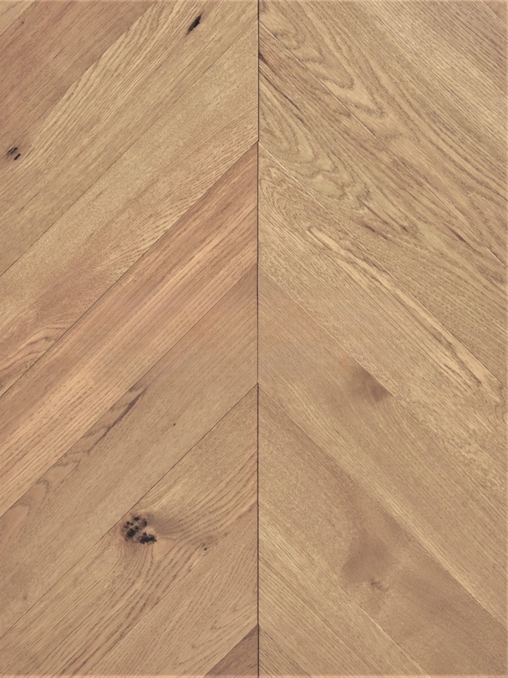 Инженерная доска Wood Bee Дуб Аурео Aureo французская елка 510×92×12