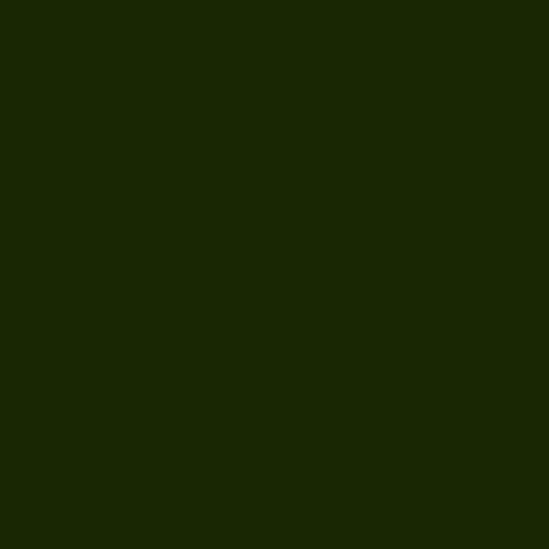 Краска Argile цвет Spiruline V33 Mat Veloute 0.75 л
