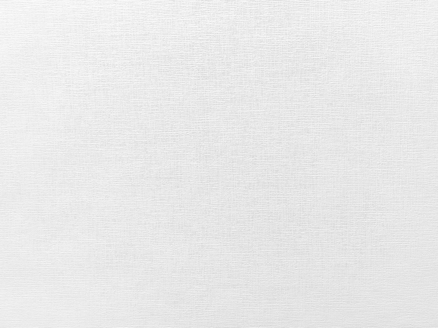 Обои под покраску Ateliero Profi 25119 25×1,06