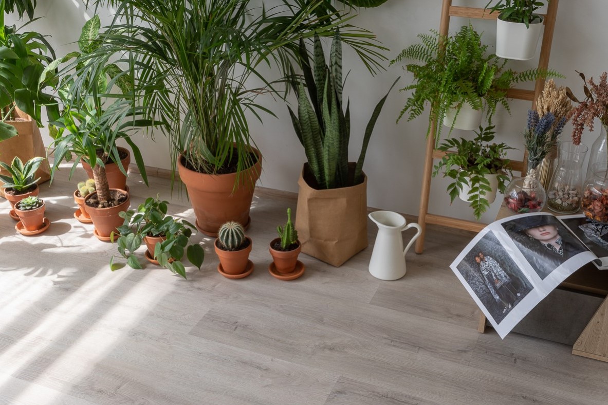 Кварцвиниловая плитка Vinilam замковая Click Дуб Ален 20468-EIR 1220×181×3,7 фото в интерьере