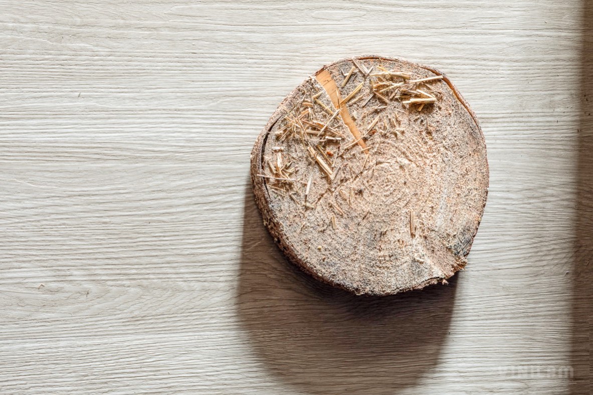 Кварцвиниловая плитка Vinilam клеевая Glue Дуб Штур 8855 1228×188×2,5 фото в интерьере