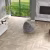 Кварцвиниловая плитка Alpine Floor клеевая Parquet LVT Дуб Натуральный отбеленный ECO 16-5 венгерская елка 590×118×2,5 фото в интерьере