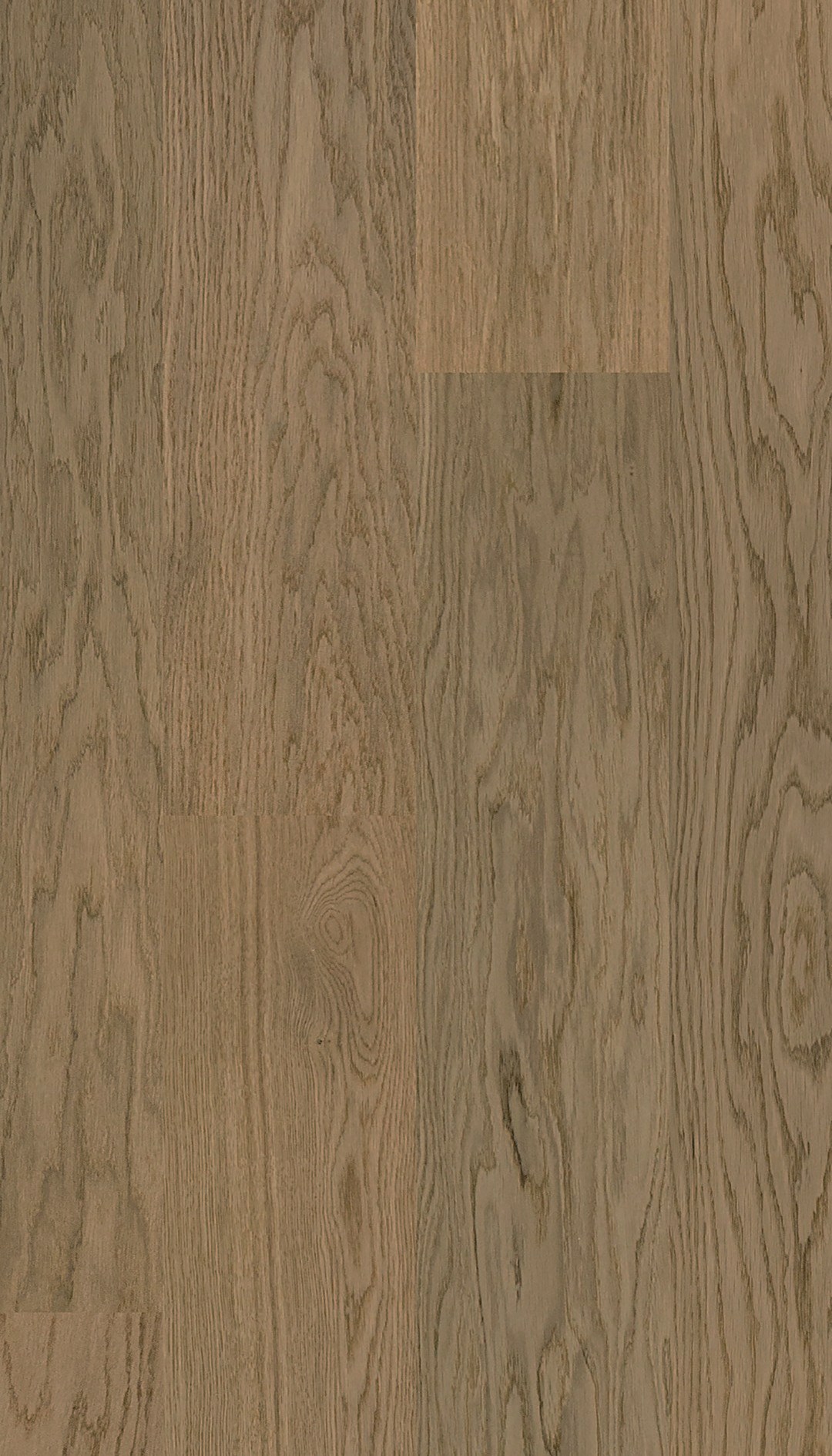 Паркетная доска Esta Parket Nova Oak Pure Line Elite 16263 2200×202×13