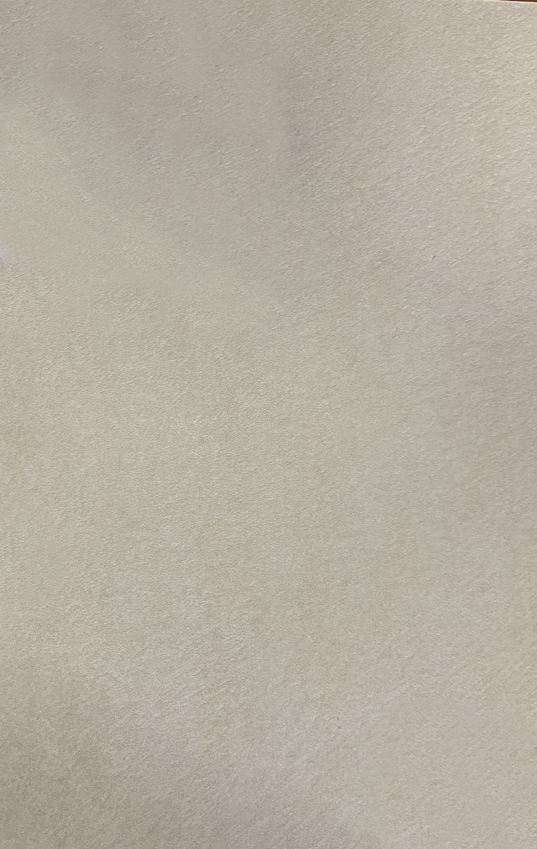 Краска декоративная Lanors Safari SF_017 3 кг