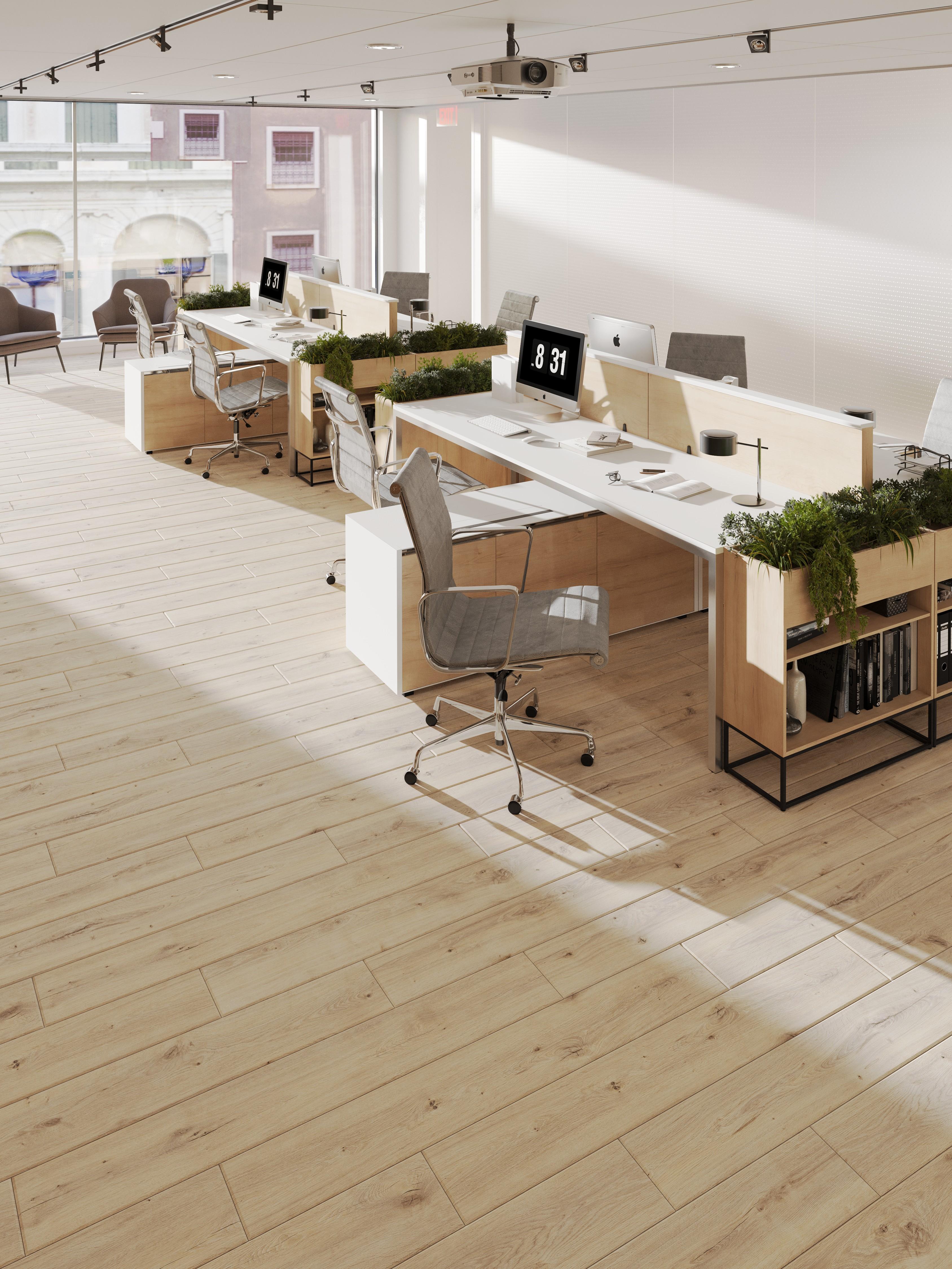 Ламинат Egger Pro Classic 8/33 Aqua+ Дуб Муром EPL139 1292×193×8 фото в интерьере