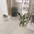 Кварцвиниловый SPC ламинат Alpine Floor Solo Plus Виваче ECO 14-201 1220×183×4 фото в интерьере