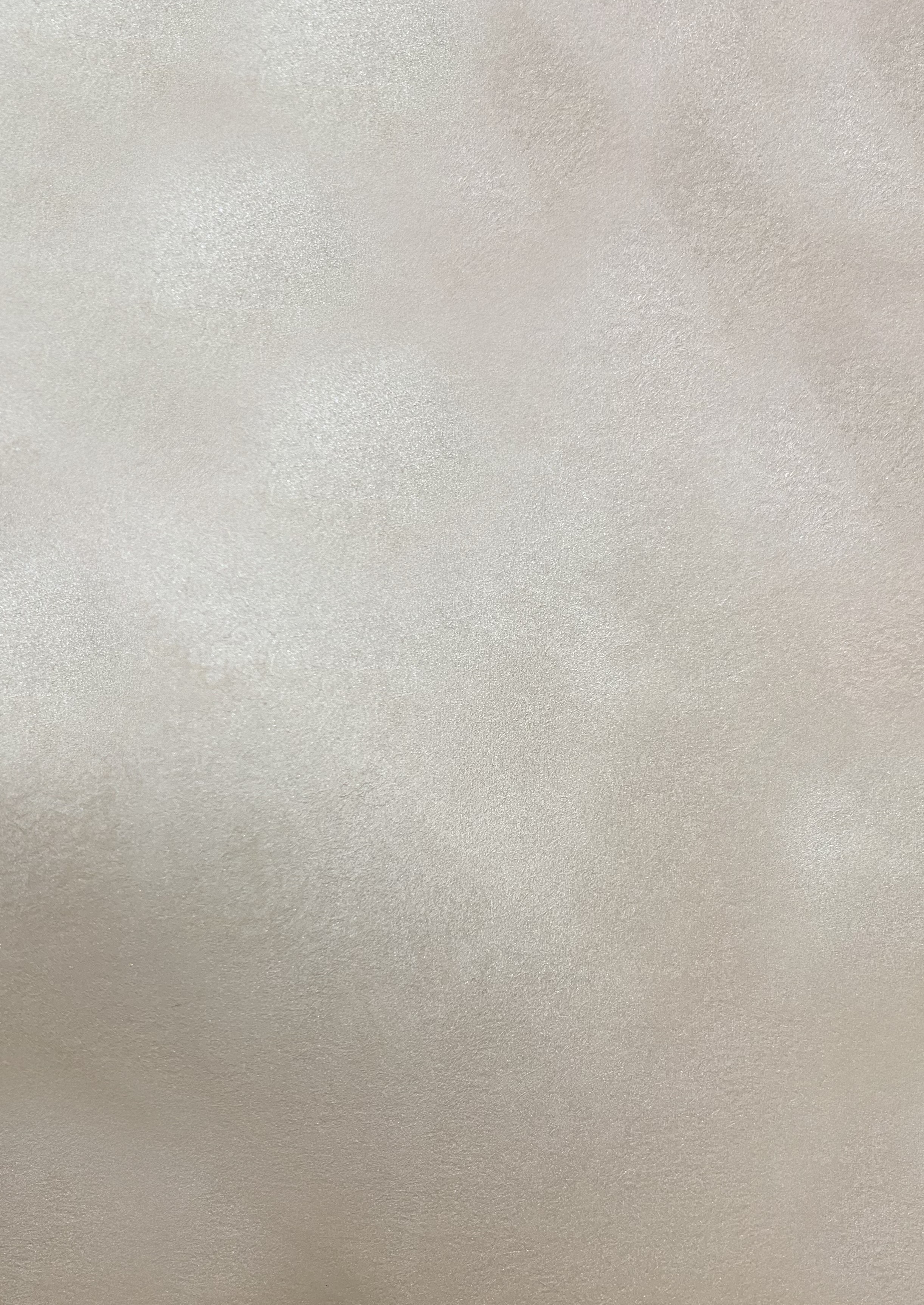 Краска декоративная Lanors Satin Silver STS_030 1 кг