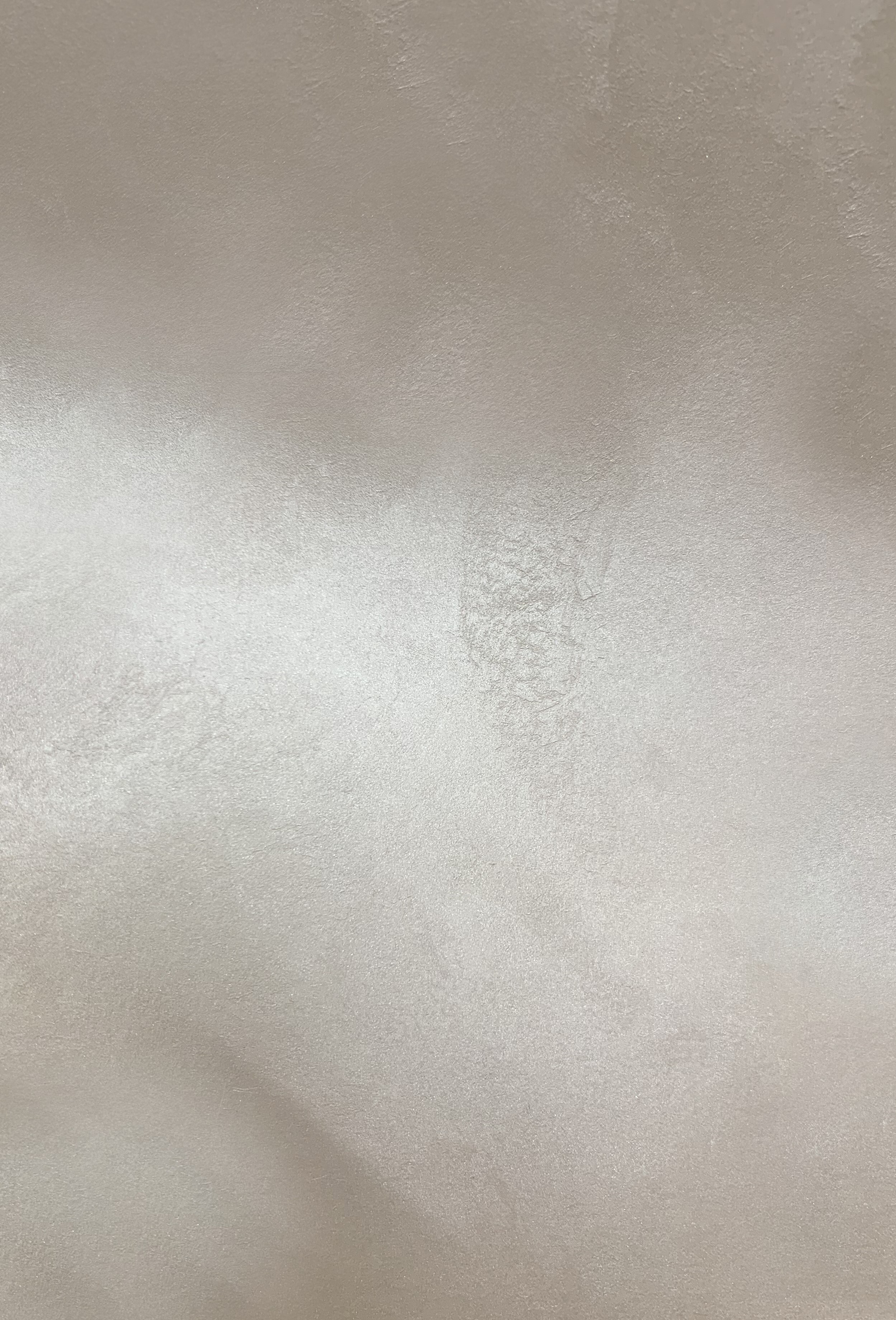 Краска декоративная Lanors Satin Silver STS_038 1 кг