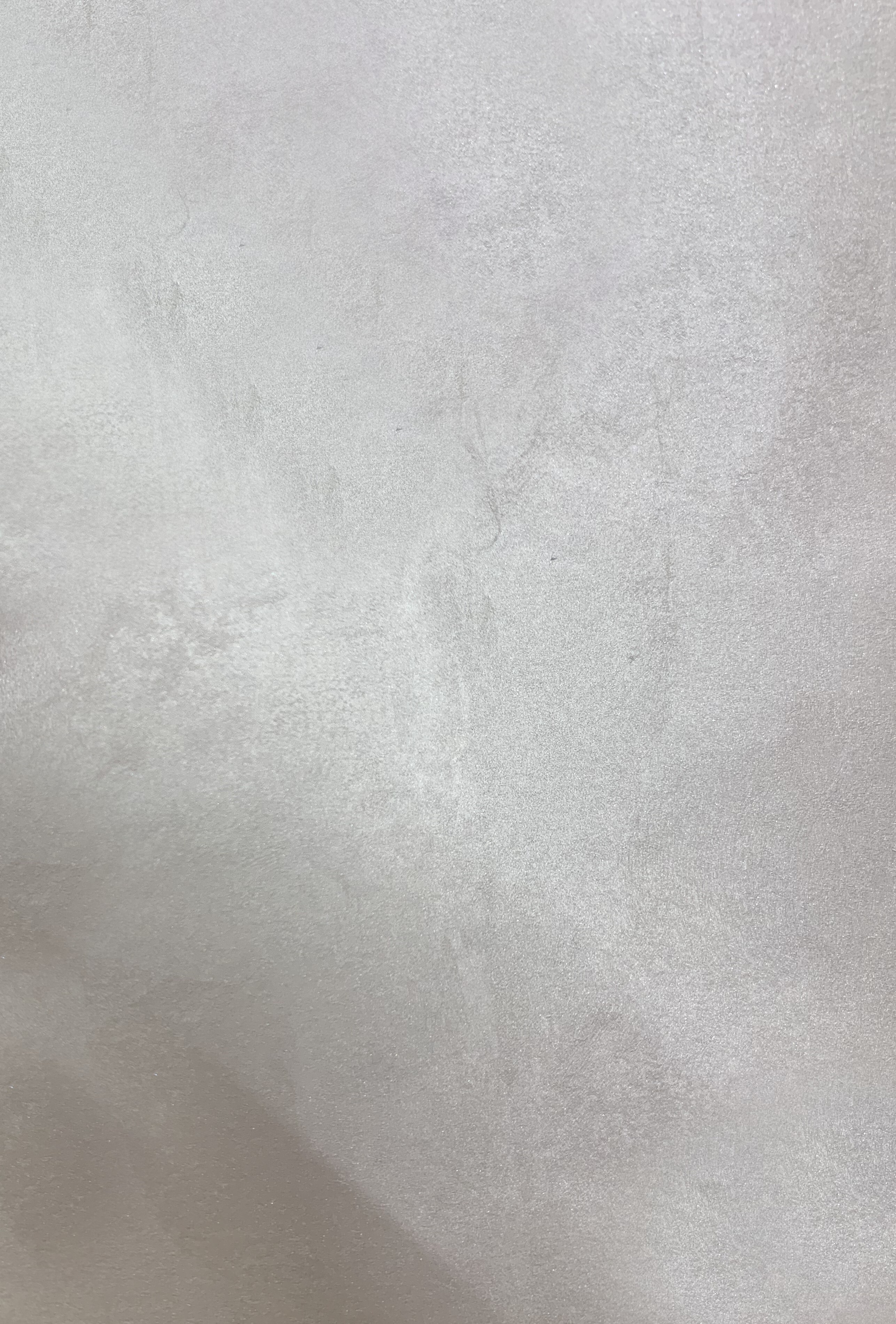 Краска декоративная Lanors Satin Silver STS_039 1 кг