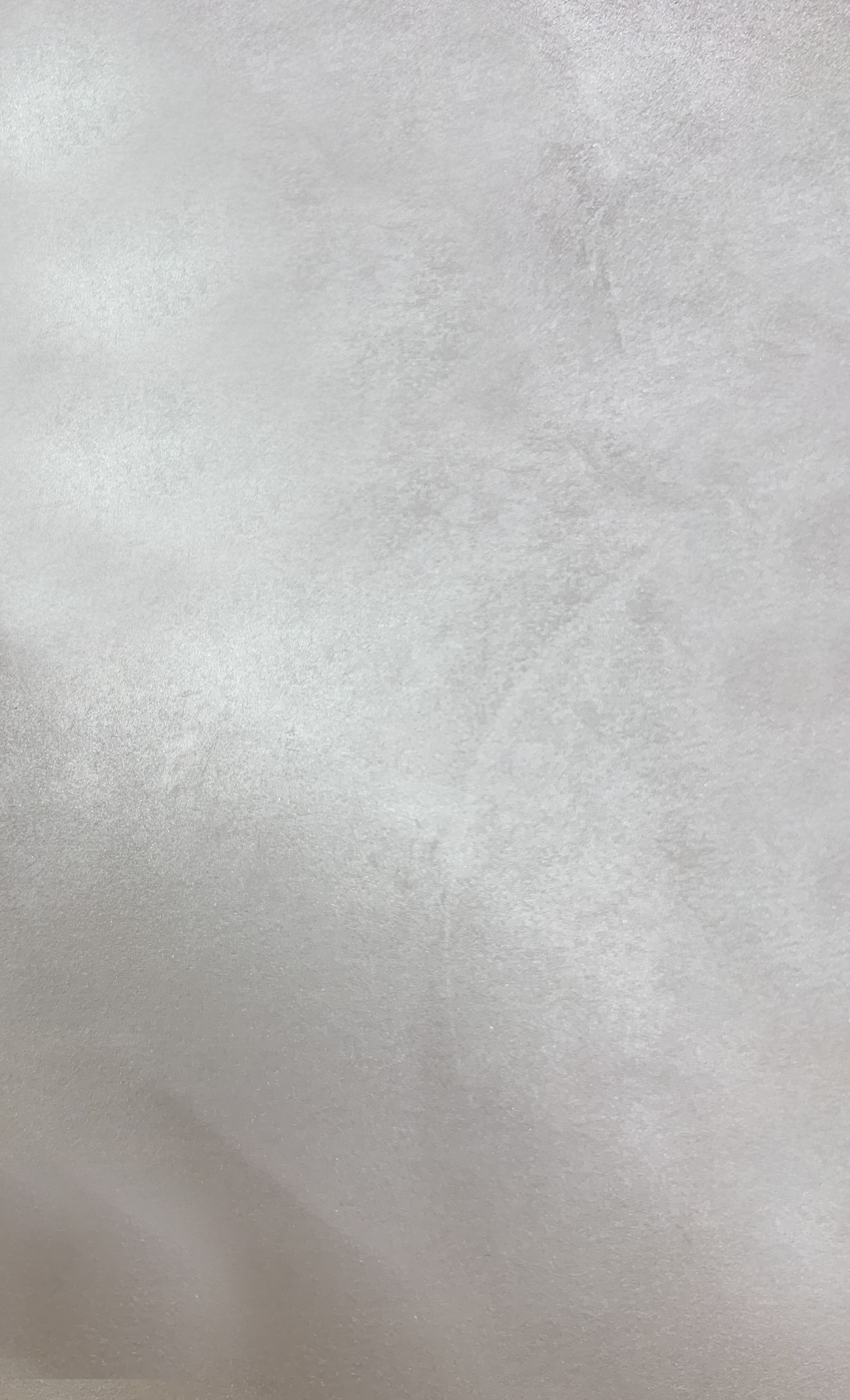 Краска декоративная Lanors Satin Silver STS_042 1 кг