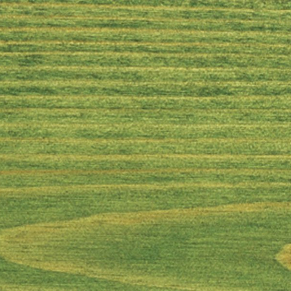 Масло для террас Saicos Holz-Spezialol цвет 0116 Для сосны и импрегнированной древесины 0,125 л