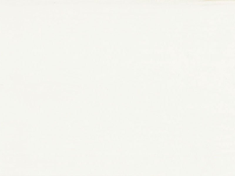 Краска укрывная для дерева Saicos Haus & Garten-Farbe цвет 2001 Белый 0,125 л