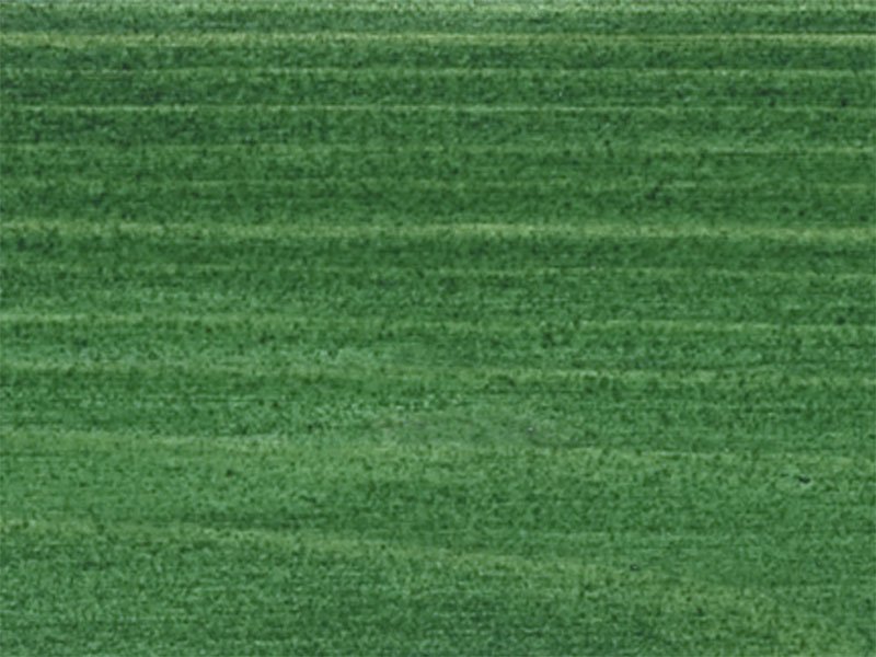 Лазурь для дерева Saicos Holzlasur цвет 0060 Зеленая ель 0,125 л