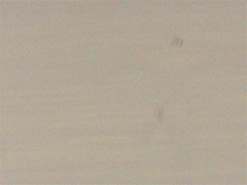 Лазурь для дерева Saicos Holzlasur цвет 0070 Перламутр 0,125 л Лазурь для дерева Saicos Holzlasur цвет 0070 Перламутр 0,125 л