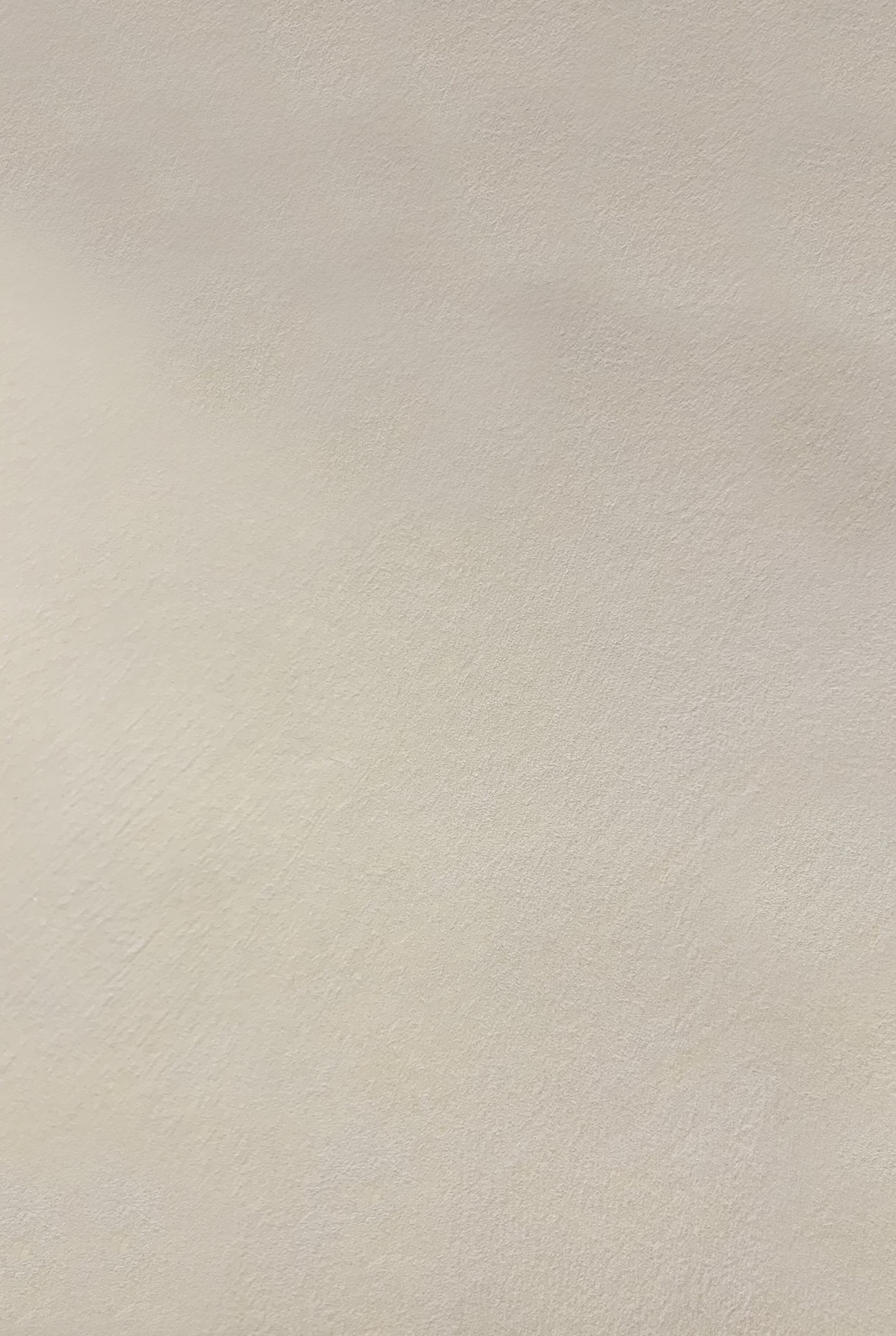 Краска декоративная Lanors Safari SF_006 3 кг