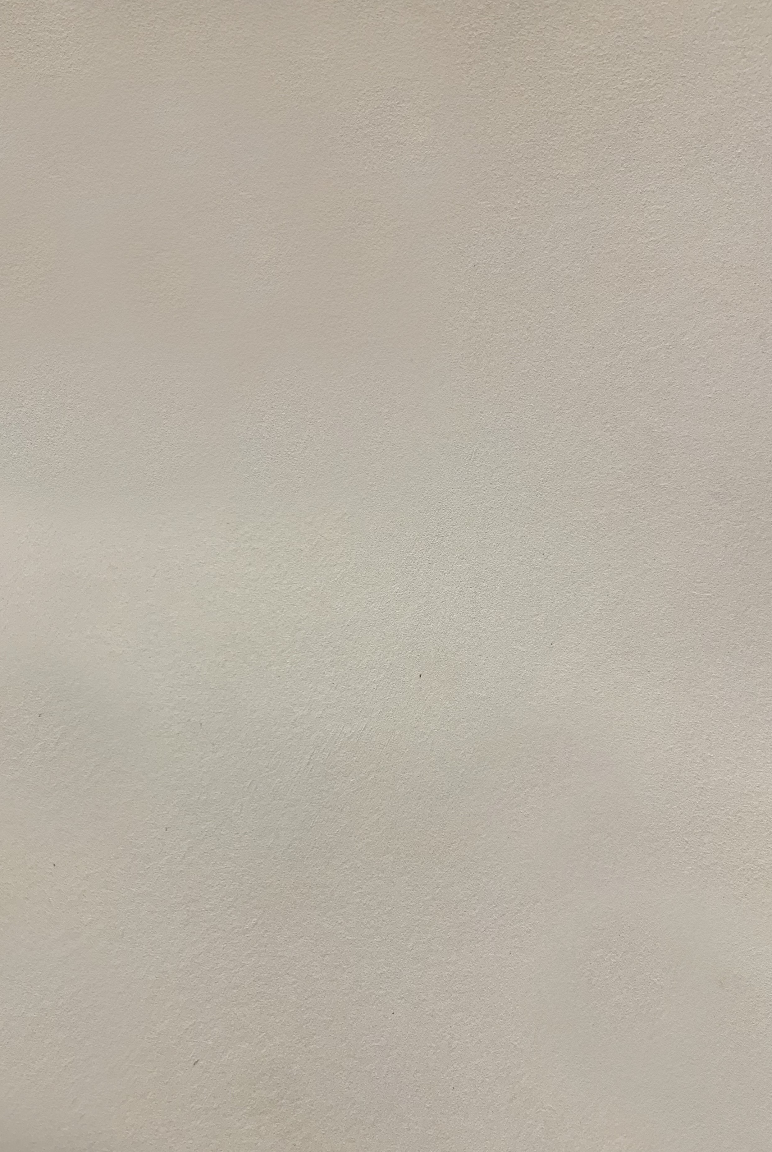 Краска декоративная Lanors Safari SF_007 3 кг