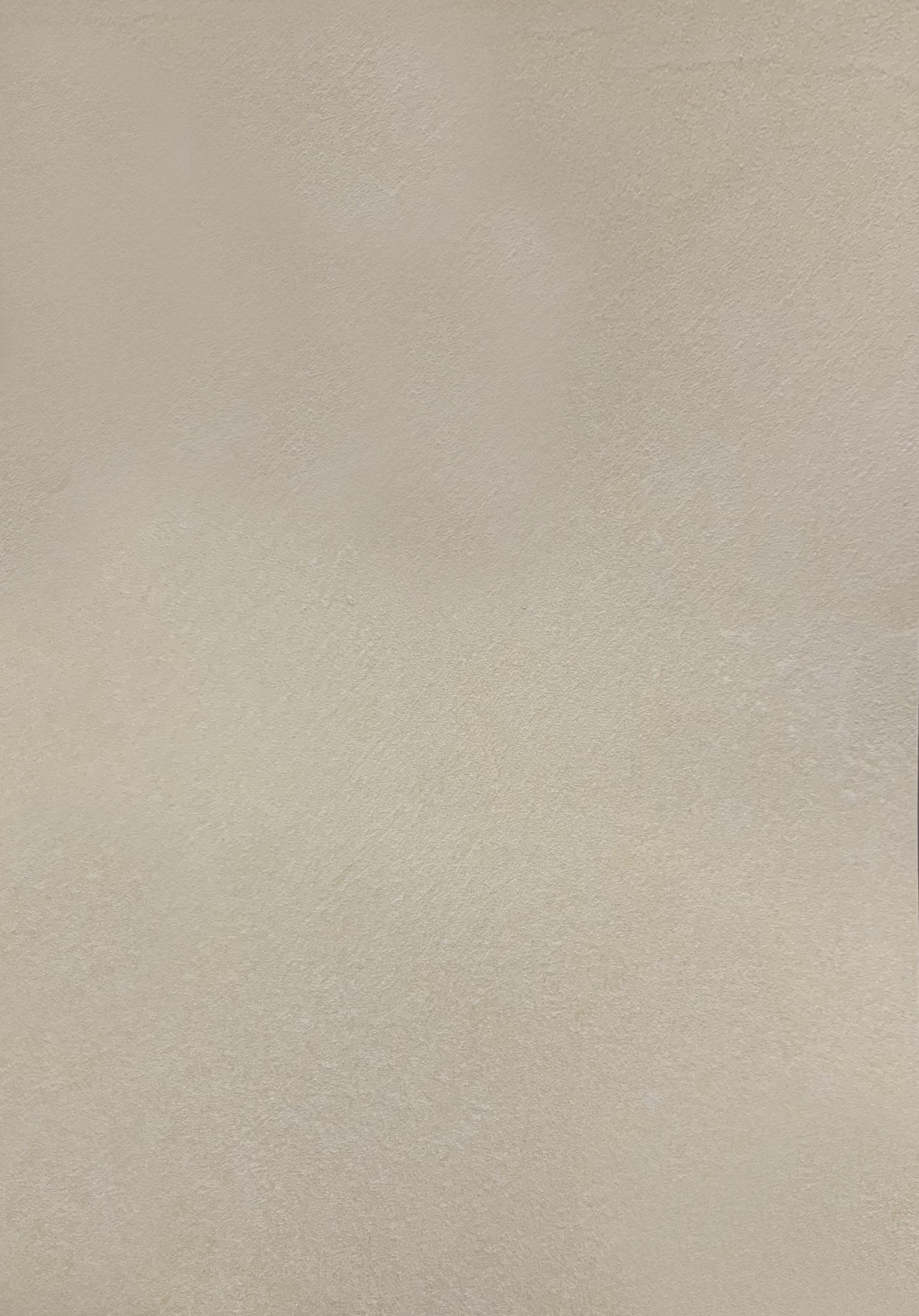 Краска декоративная Lanors Safari SF_009 3 кг