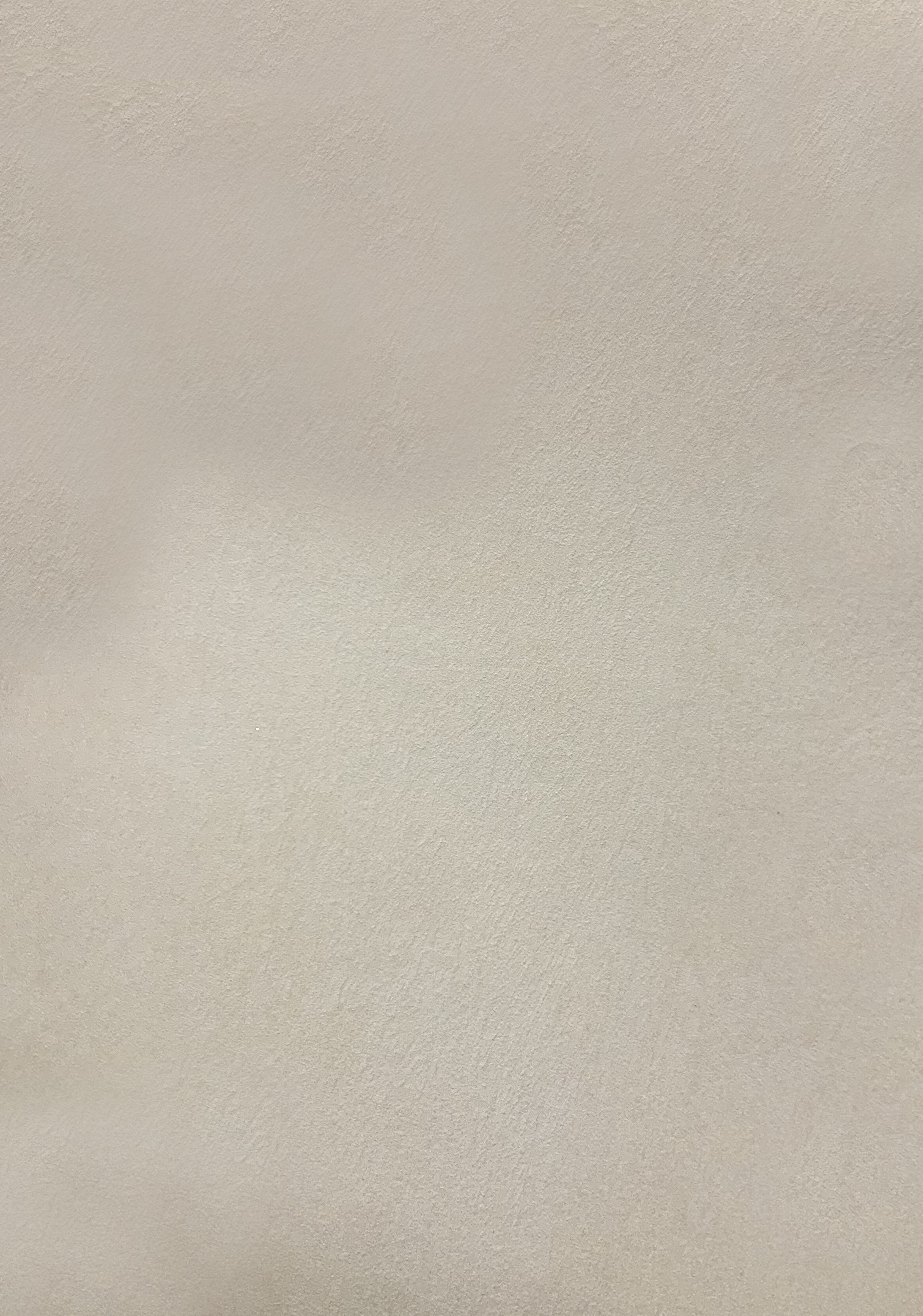 Краска декоративная Lanors Safari SF_010 3 кг