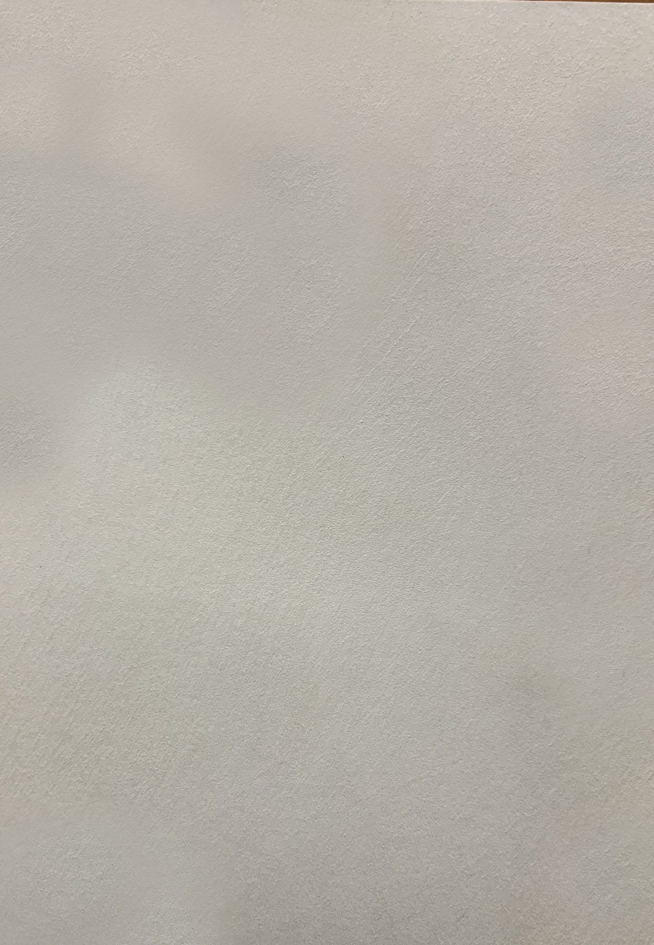 Краска декоративная Lanors Safari SF_012 3 кг