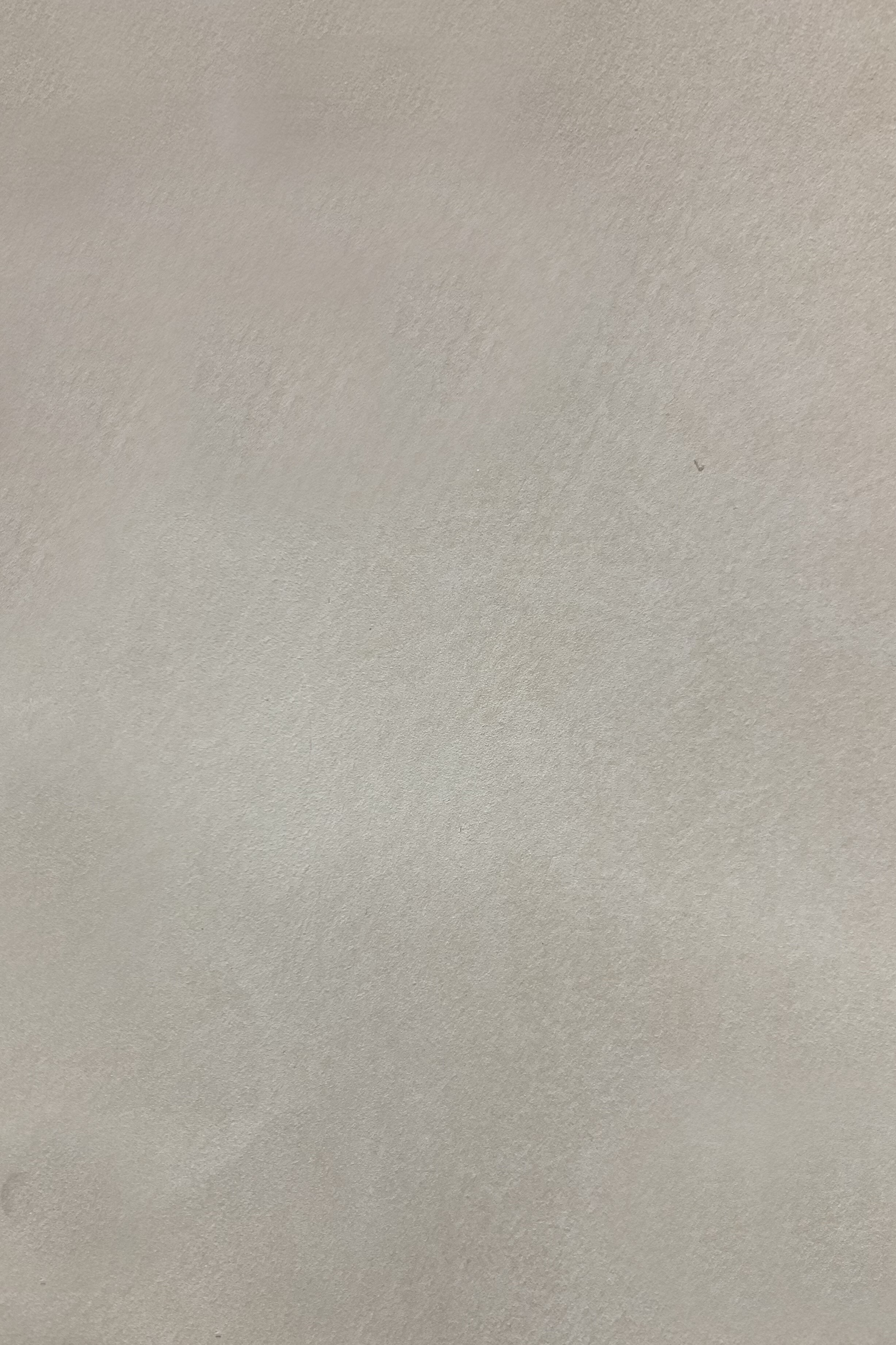 Краска декоративная Lanors Safari SF_013 3 кг