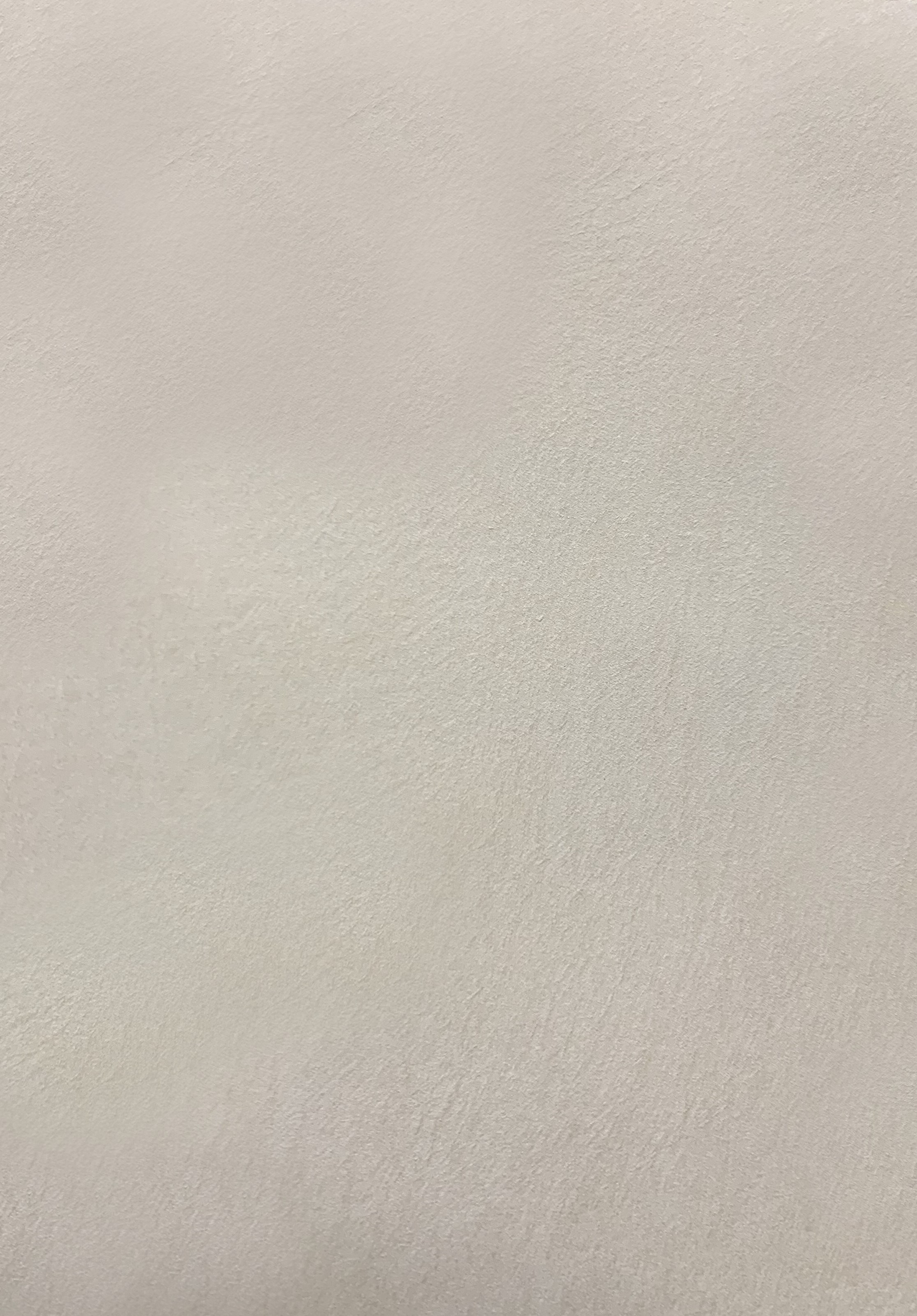 Краска декоративная Lanors Safari SF_016 3 кг