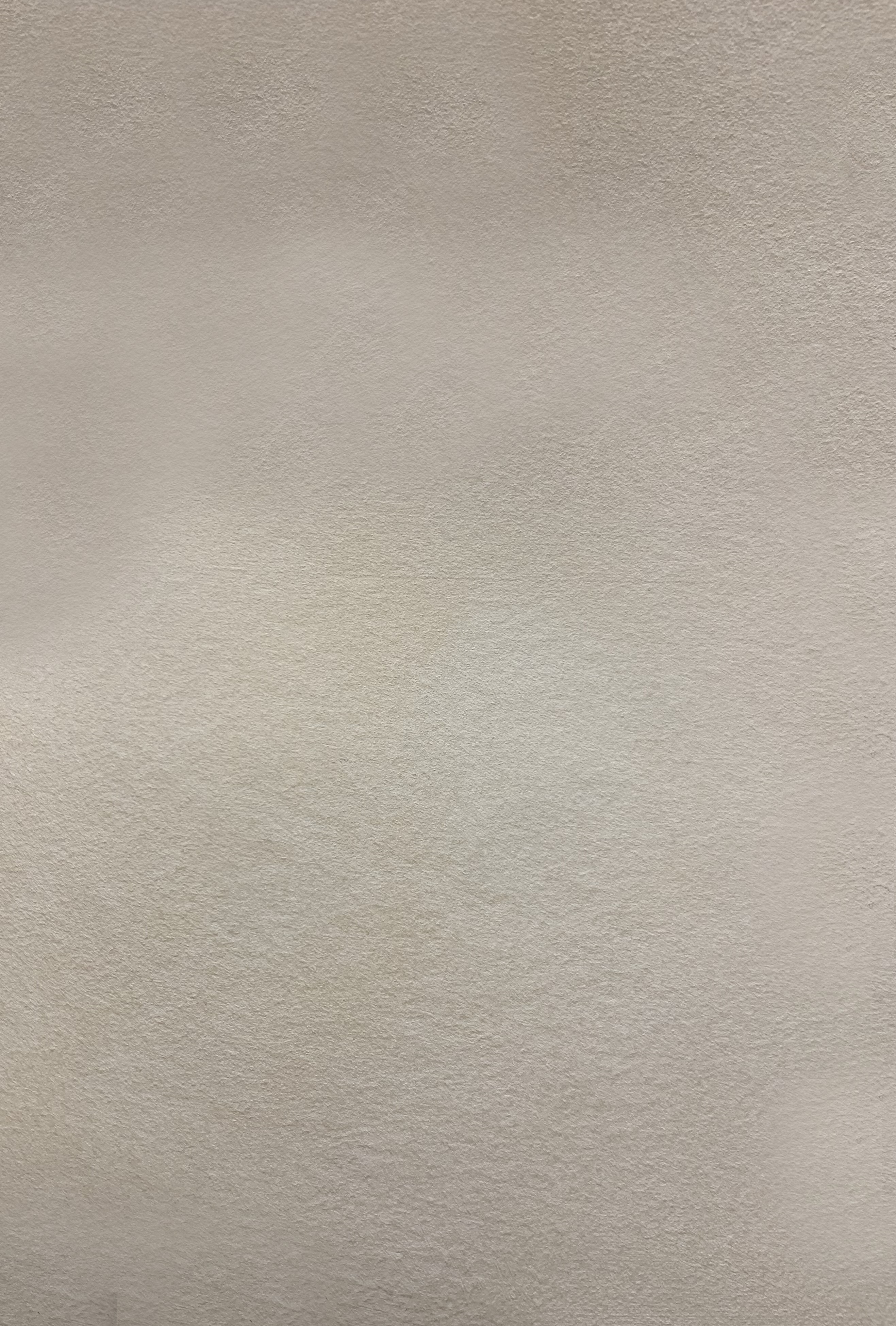 Краска декоративная Lanors Safari SF_020 3 кг